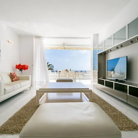 Seagulls Melody C-209 *