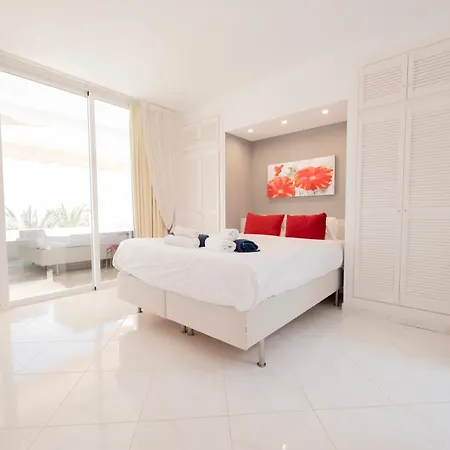 Seagulls Melody C-209 * 아데제