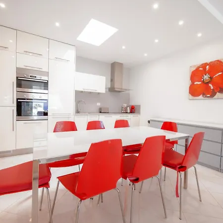 Seagulls Melody C-209 아데제